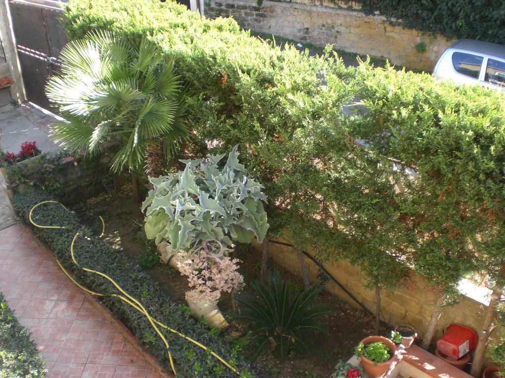 Bouganville San Leone Esterno foto