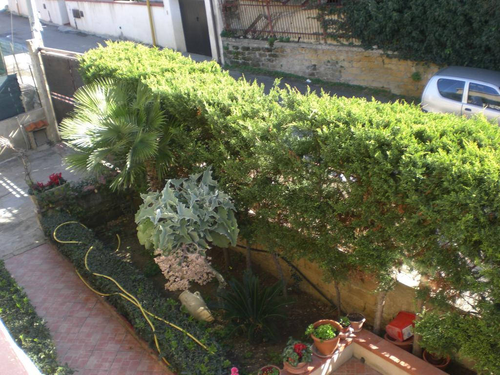 Bouganville San Leone Esterno foto